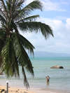 Bankai Orchid Resort 